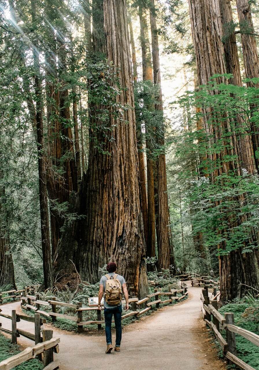 Person choosing between two paths