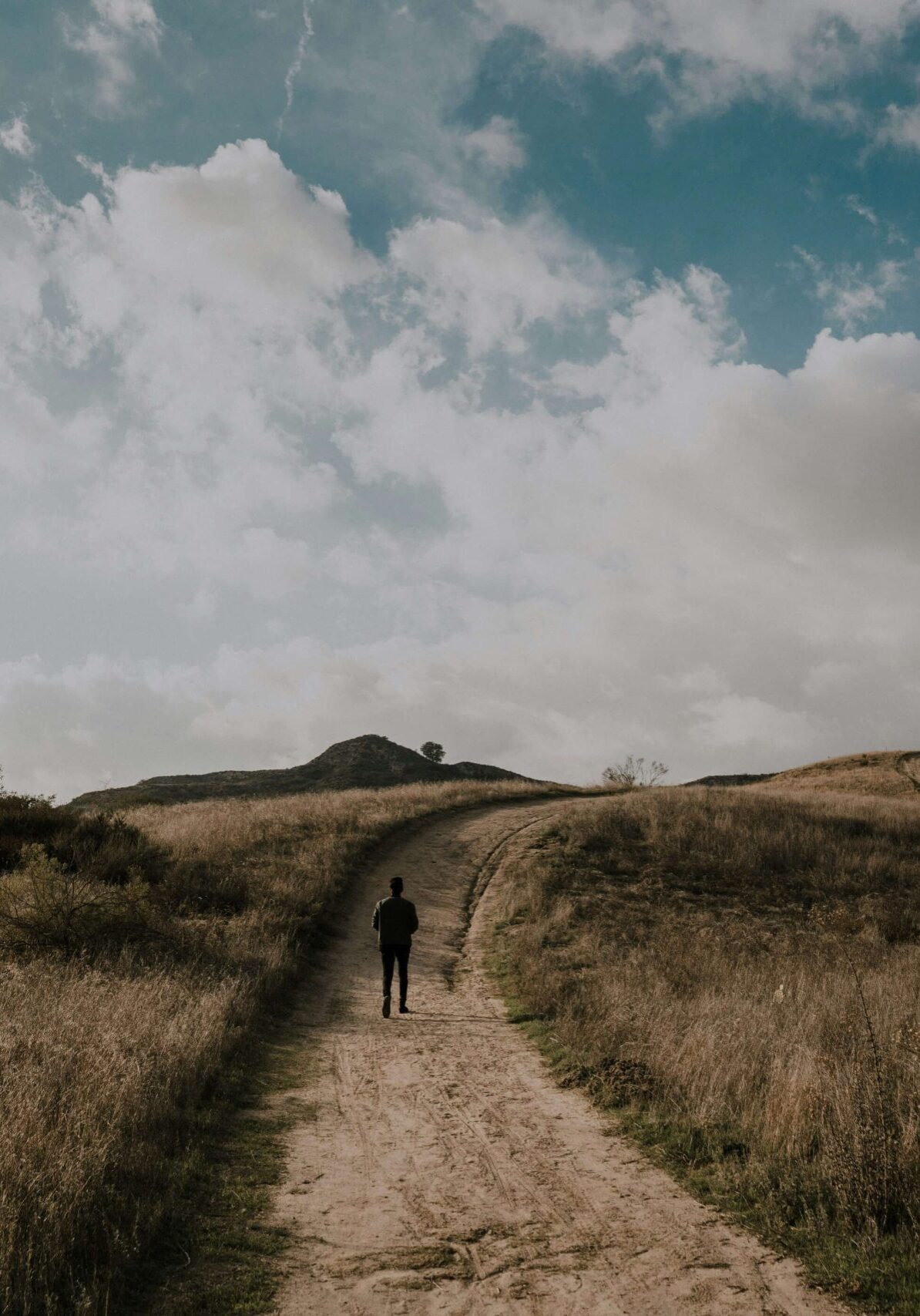 Person walking a Path